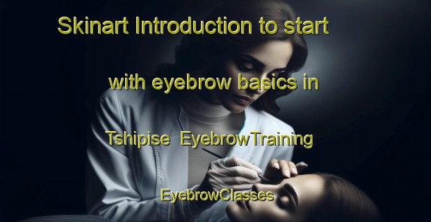 Skinart Introduction to start with eyebrow basics in Tshipise | EyebrowTraining | EyebrowClasses | SkinartTraining-South Africa