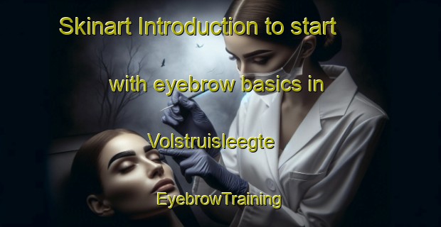 Skinart Introduction to start with eyebrow basics in Volstruisleegte | EyebrowTraining | EyebrowClasses | SkinartTraining-South Africa