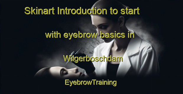 Skinart Introduction to start with eyebrow basics in Wilgerboschdam | EyebrowTraining | EyebrowClasses | SkinartTraining-South Africa