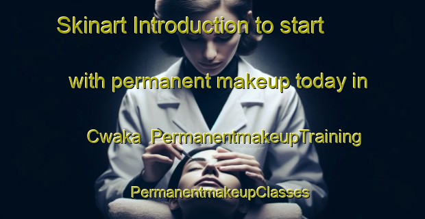 Skinart Introduction to start with permanent makeup today in Cwaka | PermanentmakeupTraining | PermanentmakeupClasses | SkinartTraining-South Africa