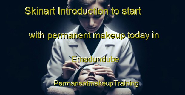 Skinart Introduction to start with permanent makeup today in Emadundube | #PermanentmakeupTraining #PermanentmakeupClasses #SkinartTraining-South Africa