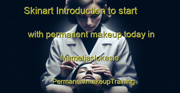 Skinart Introduction to start with permanent makeup today in Mametjaslokasie | #PermanentmakeupTraining #PermanentmakeupClasses #SkinartTraining-South Africa