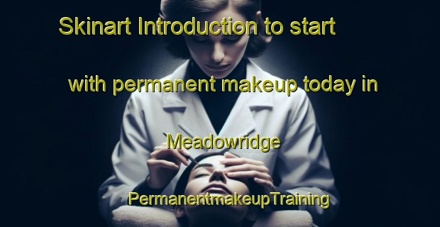 Skinart Introduction to start with permanent makeup today in Meadowridge | #PermanentmakeupTraining #PermanentmakeupClasses #SkinartTraining-South Africa