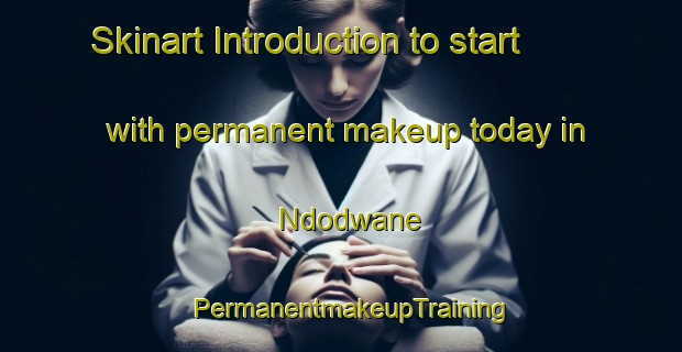 Skinart Introduction to start with permanent makeup today in Ndodwane | PermanentmakeupTraining | PermanentmakeupClasses | SkinartTraining-South Africa