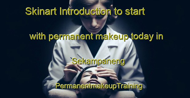 Skinart Introduction to start with permanent makeup today in Sekampaneng | #PermanentmakeupTraining #PermanentmakeupClasses #SkinartTraining-South Africa