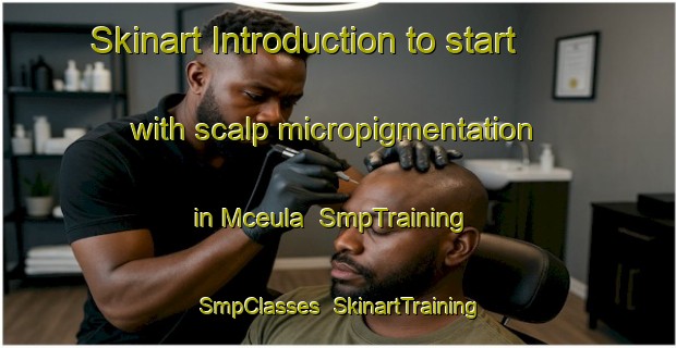Skinart Introduction to start with scalp micropigmentation in Mceula | SmpTraining | SmpClasses | SkinartTraining-South Africa