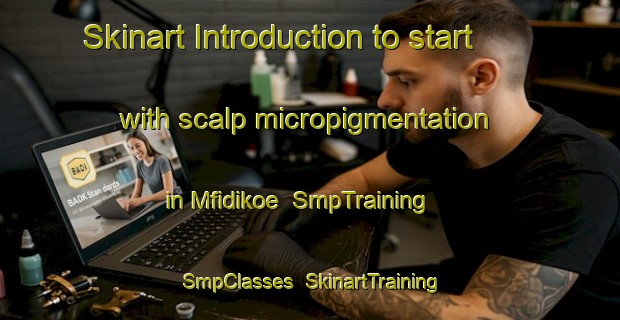 Skinart Introduction to start with scalp micropigmentation in Mfidikoe | SmpTraining | SmpClasses | SkinartTraining-South Africa