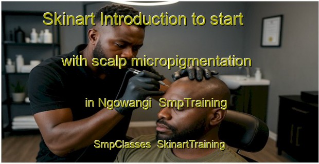 Skinart Introduction to start with scalp micropigmentation in Ngowangi | SmpTraining | SmpClasses | SkinartTraining-South Africa