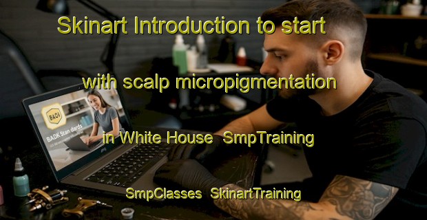 Skinart Introduction to start with scalp micropigmentation in White House | SmpTraining | SmpClasses | SkinartTraining-South Africa