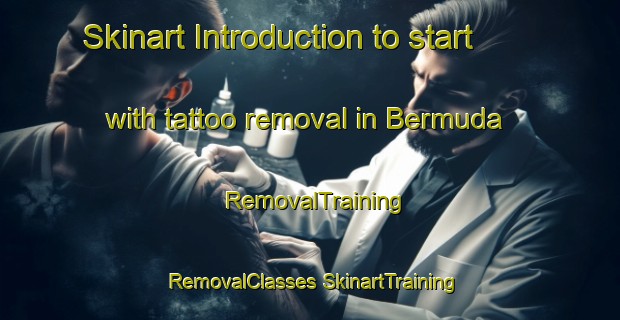 Skinart Introduction to start with tattoo removal in Bermuda | #RemovalTraining #RemovalClasses #SkinartTraining-South Africa