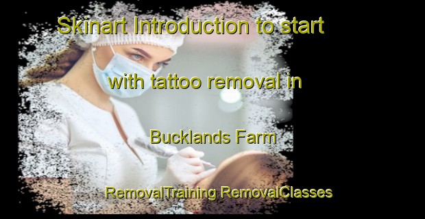 Skinart Introduction to start with tattoo removal in Bucklands Farm | #RemovalTraining #RemovalClasses #SkinartTraining-South Africa