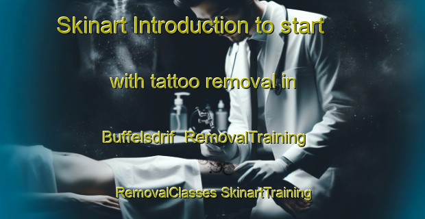 Skinart Introduction to start with tattoo removal in Buffelsdrif | #RemovalTraining #RemovalClasses #SkinartTraining-South Africa