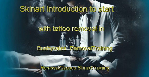 Skinart Introduction to start with tattoo removal in Bushyvales | #RemovalTraining #RemovalClasses #SkinartTraining-South Africa