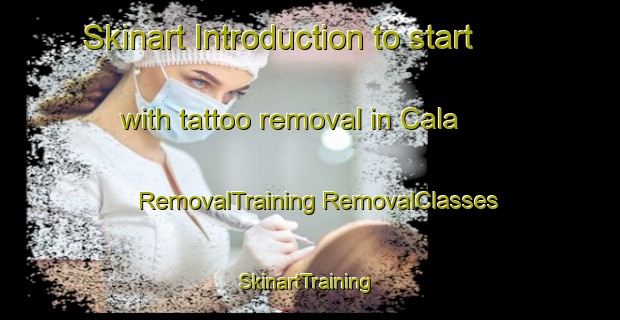 Skinart Introduction to start with tattoo removal in Cala | #RemovalTraining #RemovalClasses #SkinartTraining-South Africa