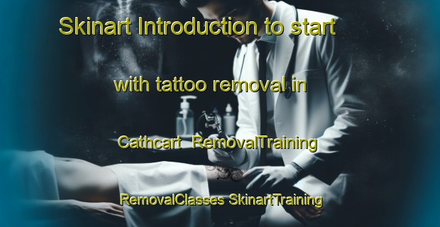 Skinart Introduction to start with tattoo removal in Cathcart | #RemovalTraining #RemovalClasses #SkinartTraining-South Africa