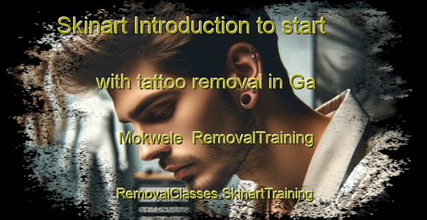 Skinart Introduction to start with tattoo removal in Ga Mokwele | #RemovalTraining #RemovalClasses #SkinartTraining-South Africa