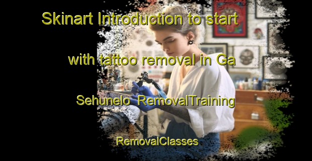 Skinart Introduction to start with tattoo removal in Ga Sehunelo | RemovalTraining | RemovalClasses | SkinartTraining-South Africa