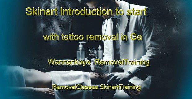 Skinart Introduction to start with tattoo removal in Ga Wannankaya | #RemovalTraining #RemovalClasses #SkinartTraining-South Africa