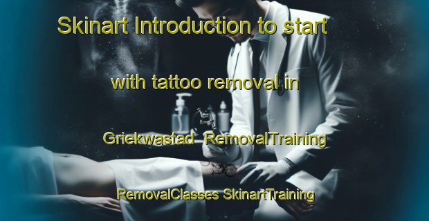 Skinart Introduction to start with tattoo removal in Griekwastad | #RemovalTraining #RemovalClasses #SkinartTraining-South Africa