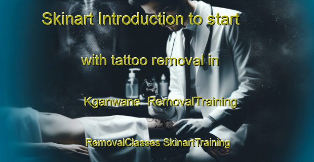 Skinart Introduction to start with tattoo removal in Kganwane | #RemovalTraining #RemovalClasses #SkinartTraining-South Africa