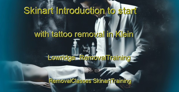 Skinart Introduction to start with tattoo removal in Klein Lowridge | #RemovalTraining #RemovalClasses #SkinartTraining-South Africa