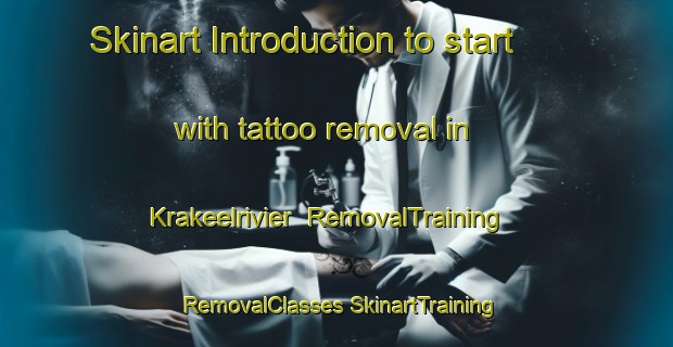 Skinart Introduction to start with tattoo removal in Krakeelrivier | #RemovalTraining #RemovalClasses #SkinartTraining-South Africa