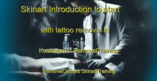 Skinart Introduction to start with tattoo removal in Kusikulume | #RemovalTraining #RemovalClasses #SkinartTraining-South Africa