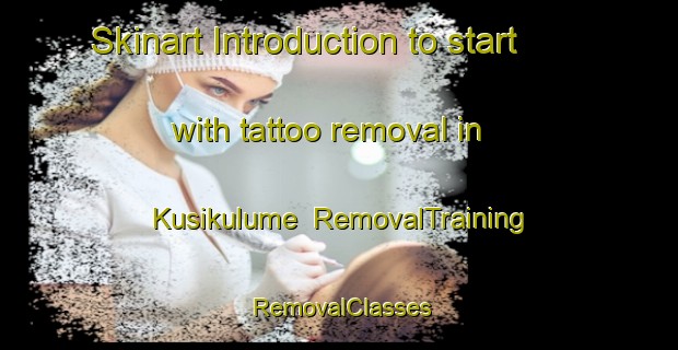 Skinart Introduction to start with tattoo removal in Kusikulume | RemovalTraining | RemovalClasses | SkinartTraining-South Africa