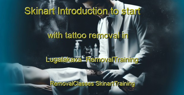 Skinart Introduction to start with tattoo removal in Lugalakaxa | #RemovalTraining #RemovalClasses #SkinartTraining-South Africa