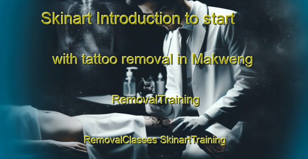 Skinart Introduction to start with tattoo removal in Makweng | #RemovalTraining #RemovalClasses #SkinartTraining-South Africa