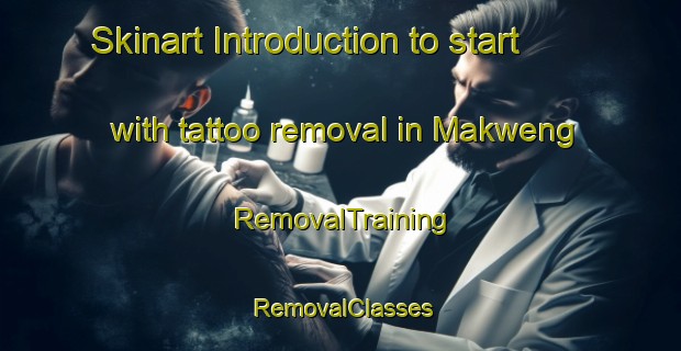 Skinart Introduction to start with tattoo removal in Makweng | RemovalTraining | RemovalClasses | SkinartTraining-South Africa
