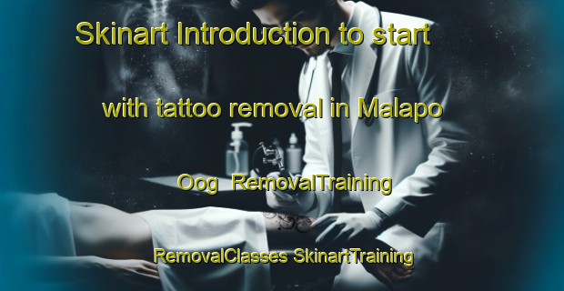 Skinart Introduction to start with tattoo removal in Malapo Oog | #RemovalTraining #RemovalClasses #SkinartTraining-South Africa