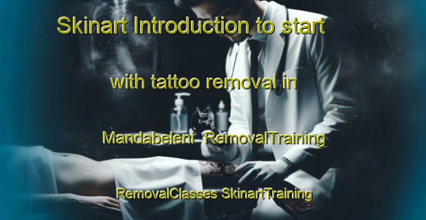 Skinart Introduction to start with tattoo removal in Mandabeleni | #RemovalTraining #RemovalClasses #SkinartTraining-South Africa