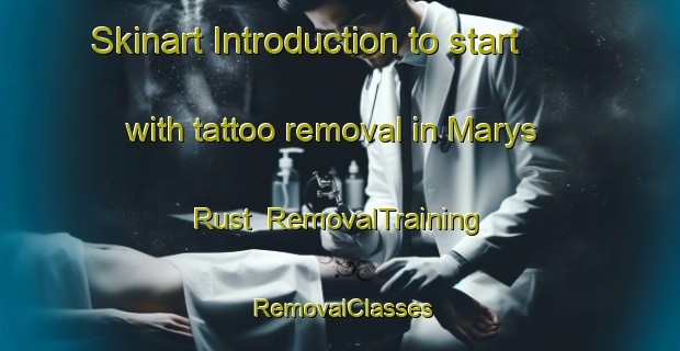 Skinart Introduction to start with tattoo removal in Marys Rust | RemovalTraining | RemovalClasses | SkinartTraining-South Africa