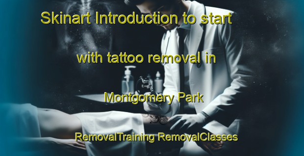 Skinart Introduction to start with tattoo removal in Montgomery Park | #RemovalTraining #RemovalClasses #SkinartTraining-South Africa