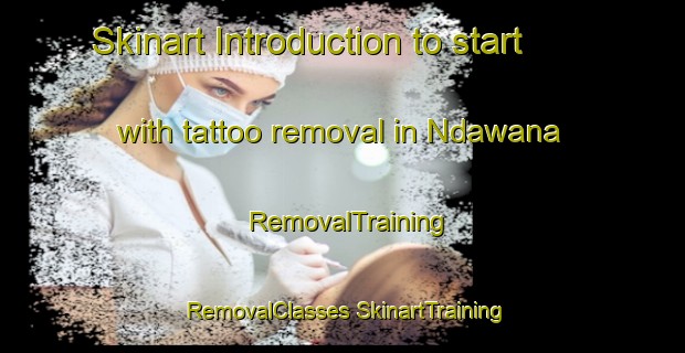 Skinart Introduction to start with tattoo removal in Ndawana | #RemovalTraining #RemovalClasses #SkinartTraining-South Africa