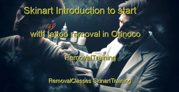 Skinart Introduction to start with tattoo removal in Orinoco | #RemovalTraining #RemovalClasses #SkinartTraining-South Africa