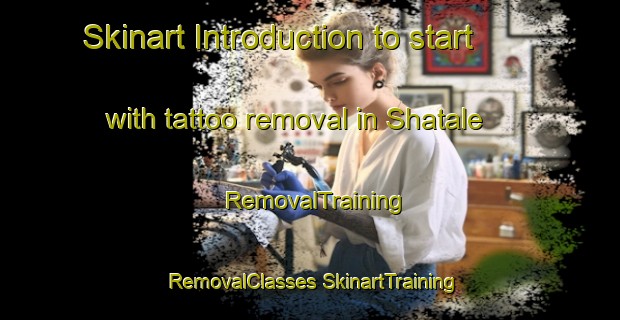 Skinart Introduction to start with tattoo removal in Shatale | #RemovalTraining #RemovalClasses #SkinartTraining-South Africa