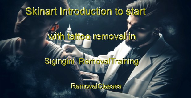 Skinart Introduction to start with tattoo removal in Sigingini | RemovalTraining | RemovalClasses | SkinartTraining-South Africa