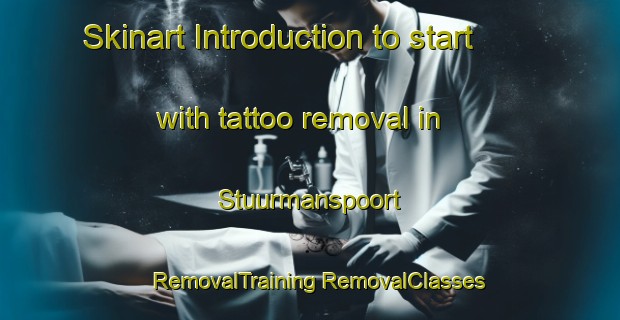 Skinart Introduction to start with tattoo removal in Stuurmanspoort | #RemovalTraining #RemovalClasses #SkinartTraining-South Africa