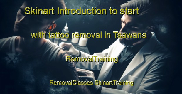 Skinart Introduction to start with tattoo removal in Tsawana | #RemovalTraining #RemovalClasses #SkinartTraining-South Africa