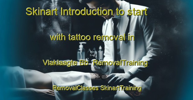 Skinart Introduction to start with tattoo removal in Vlaklaagte Bb | #RemovalTraining #RemovalClasses #SkinartTraining-South Africa