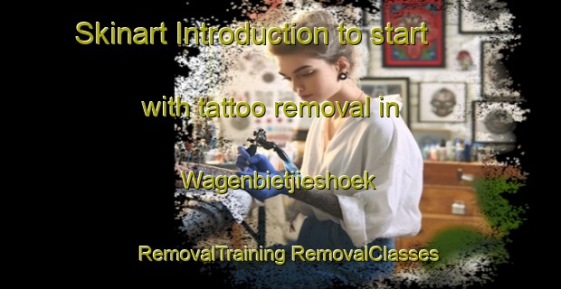 Skinart Introduction to start with tattoo removal in Wagenbietjieshoek | #RemovalTraining #RemovalClasses #SkinartTraining-South Africa