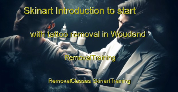 Skinart Introduction to start with tattoo removal in Woudend | #RemovalTraining #RemovalClasses #SkinartTraining-South Africa