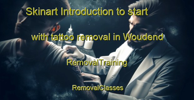 Skinart Introduction to start with tattoo removal in Woudend | RemovalTraining | RemovalClasses | SkinartTraining-South Africa