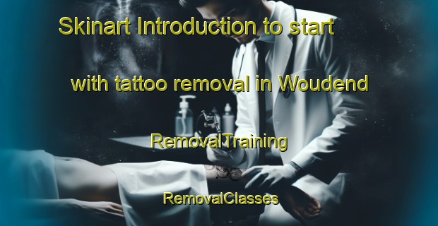 Skinart Introduction to start with tattoo removal in Woudend | RemovalTraining | RemovalClasses | SkinartTraining-South Africa