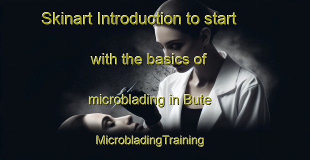 Skinart Introduction to start with the basics of microblading in Bute | MicrobladingTraining | MicrobladingClasses | SkinartTraining-South Africa