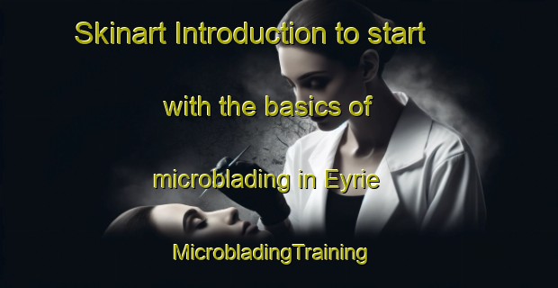 Skinart Introduction to start with the basics of microblading in Eyrie | MicrobladingTraining | MicrobladingClasses | SkinartTraining-South Africa