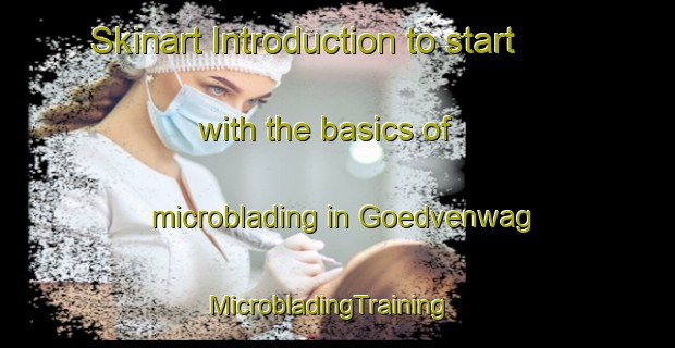 Skinart Introduction to start with the basics of microblading in Goedvenwag | MicrobladingTraining | MicrobladingClasses | SkinartTraining-South Africa