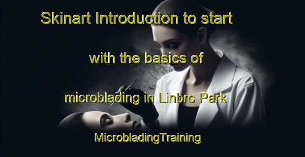 Skinart Introduction to start with the basics of microblading in Linbro Park | MicrobladingTraining | MicrobladingClasses | SkinartTraining-South Africa